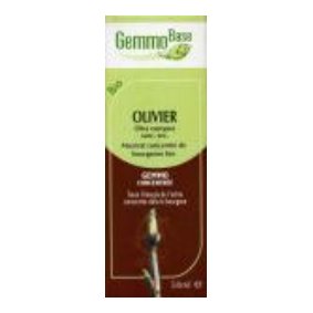 Cliquer sur l'image et glisser la dans le panier virtuel � droite pour ajouter cet article au panier